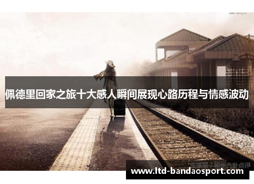 佩德里回家之旅十大感人瞬间展现心路历程与情感波动