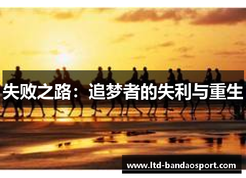 失败之路：追梦者的失利与重生